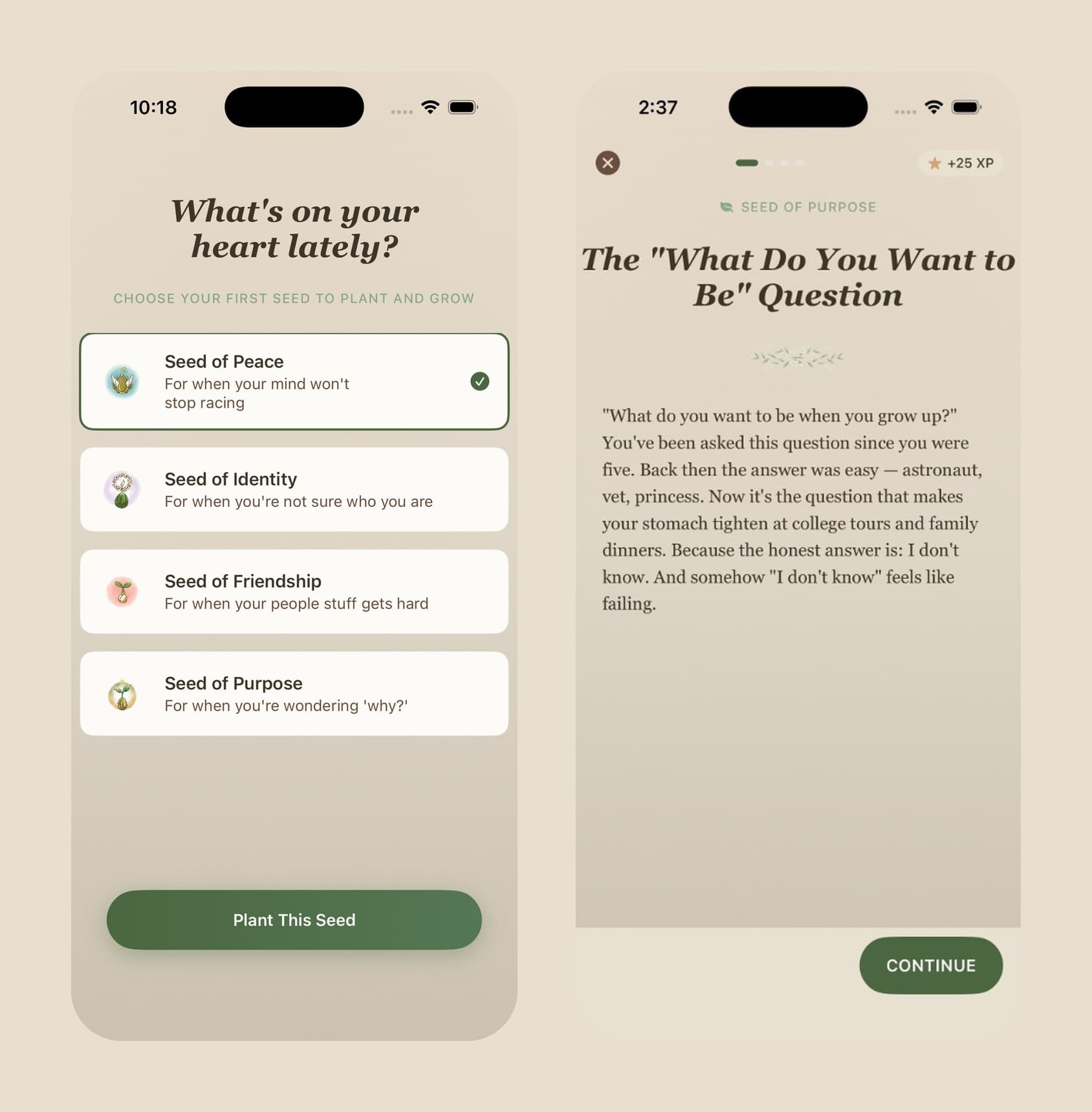 Two Faith Garden screens: 'What's on your heart lately?' with four seeds, Peace selected, and a lesson titled 'The What Do You Want to Be Question' with a Continue button.